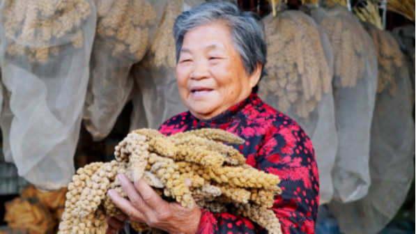 小米粥,數(shù)萬,一碗,科技 一碗科技小米粥 日拼數(shù)萬單 