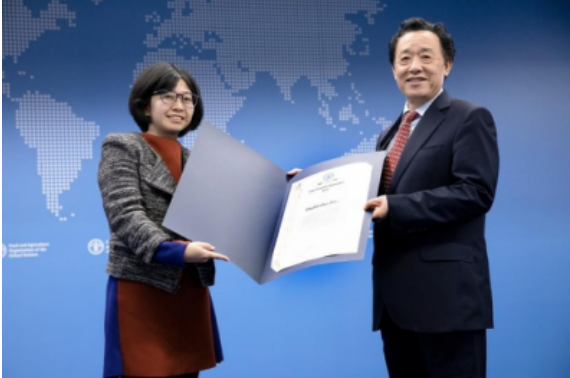 2022,聯(lián)合國糧農(nóng)組織,普惠,助力,多多,年度 助力農(nóng)業(yè)科技普惠，拼多多獲聯(lián)合國糧農(nóng)組織2022年度創(chuàng)新獎