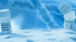 香雪制藥預計虧損4.53億元–6.29億元 連續對外并購致業務分散