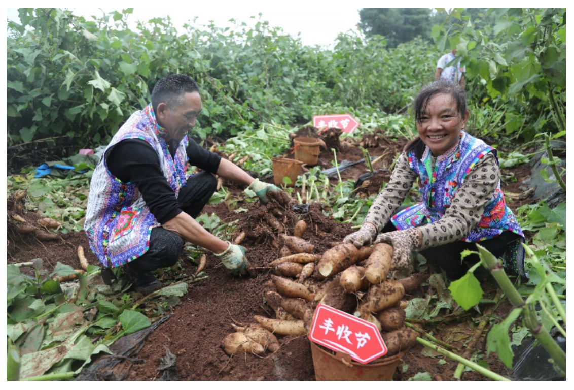 財報,Q3,農(nóng)研,加碼,高質(zhì)量,多多 拼多多發(fā)布Q3財報，全面加速高質(zhì)量發(fā)展，繼續(xù)加碼農(nóng)研科技